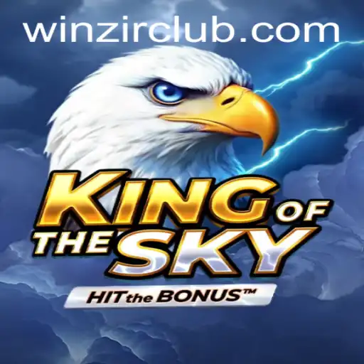 Exploring the Exciting World of KingOfTheSky: A Comprehensive Guide